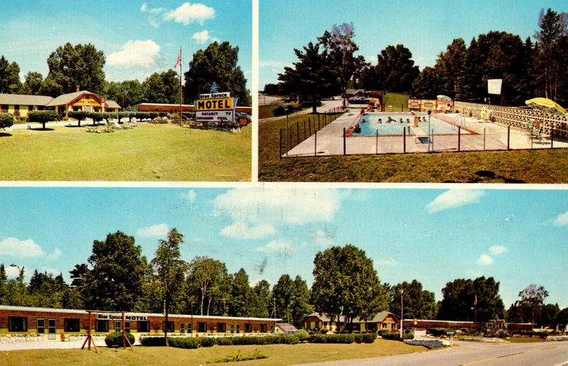 Blue Spruce Motel - Vintage Postcard